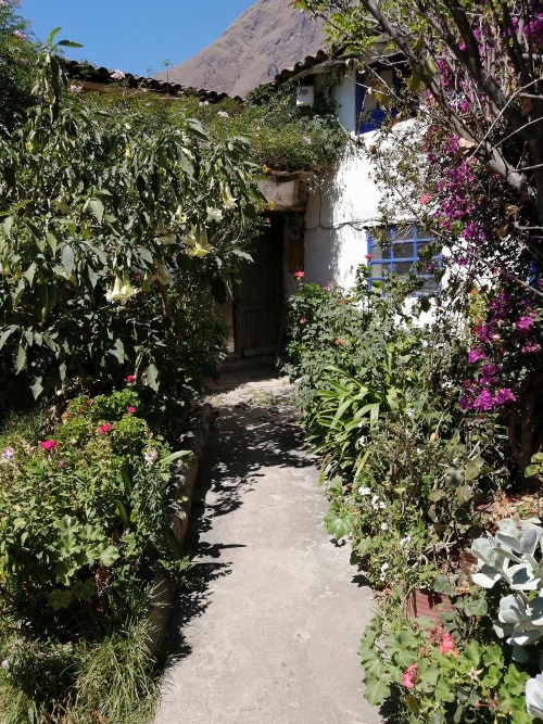 BBB el tambo image 1